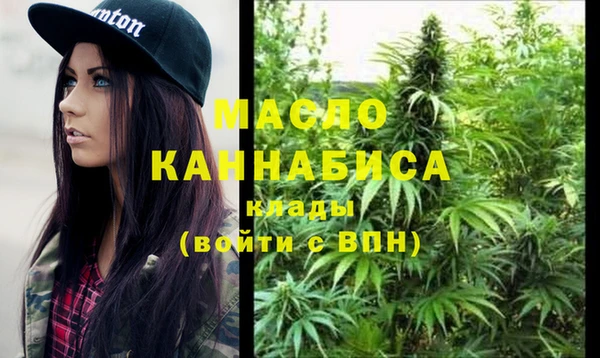 крисы Бородино
