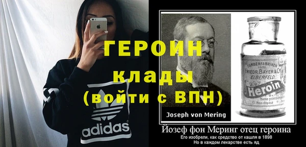 крисы Бородино