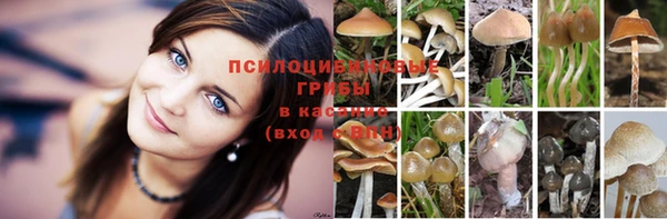 mdma Волоколамск