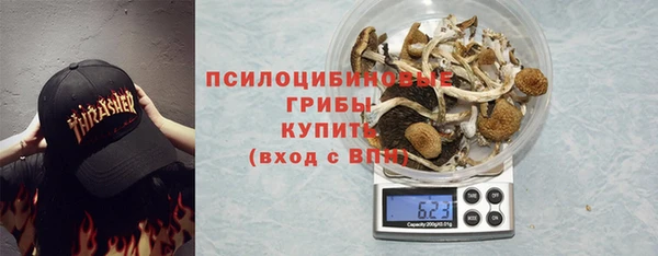 твердый Володарск