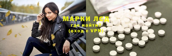 крисы Бородино