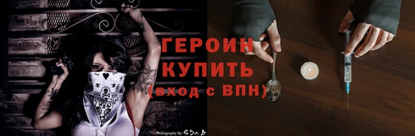 крисы Бородино