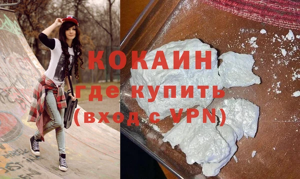 дживик Бронницы