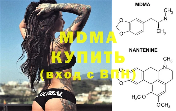 крисы Бородино