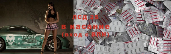 дживик Бронницы