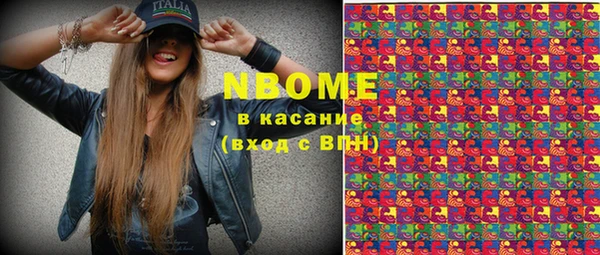 твердый Володарск