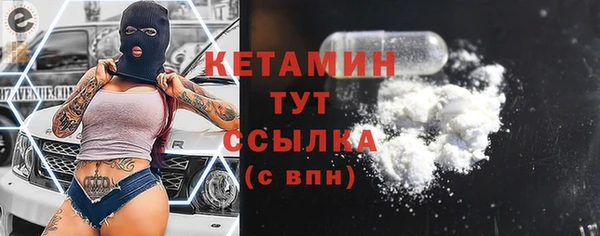 крисы Бородино