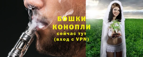 шишки Беломорск