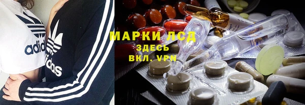 твердый Володарск