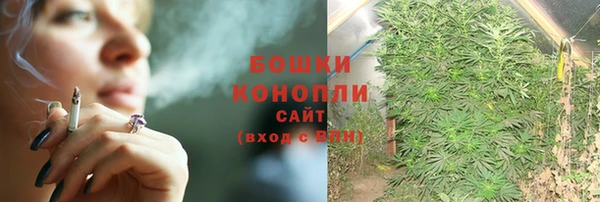 крисы Бородино