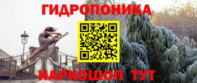 стаф Обь
