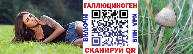 Галлюциногенные грибы мухоморы  закладки  Сланцы 