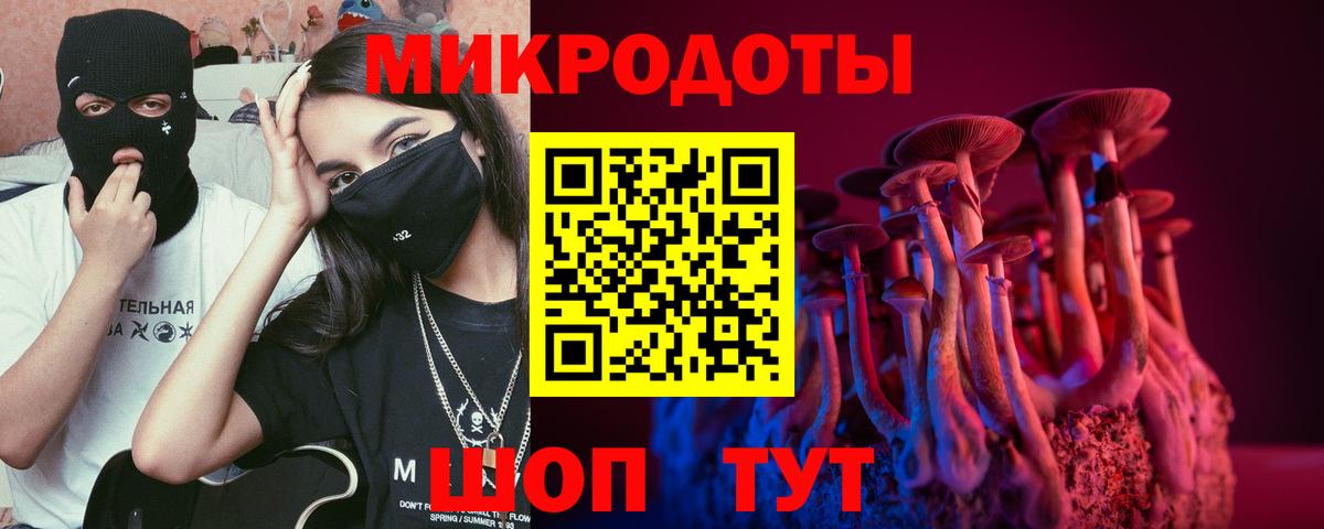 Сланцы  Псилоцибиновые грибы мицелий  Вход с VPN 